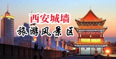 小度给我找一个女人的阴道图片中国陕西-西安城墙旅游风景区